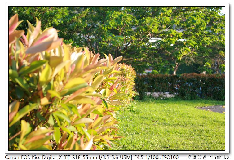 初學者到處亂拍，河濱公園及新生北路自宅